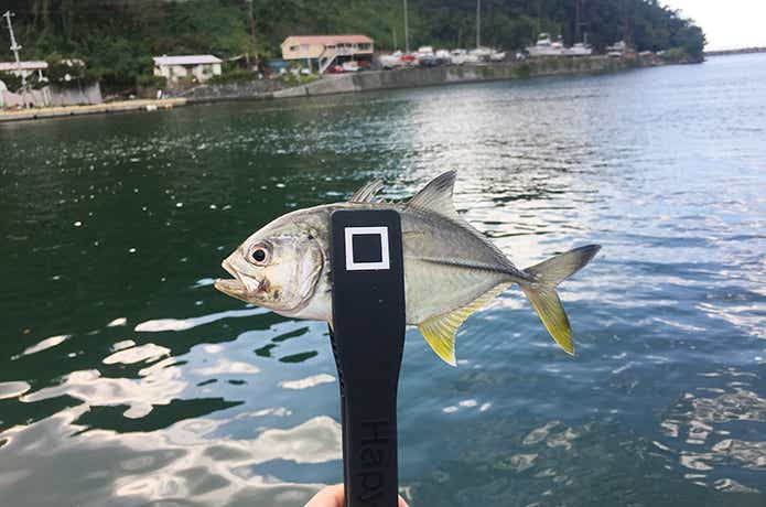 メッキ釣り
