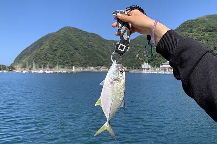 メッキ釣り