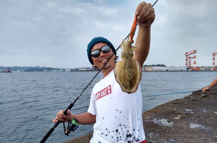 エギの底取の画像
