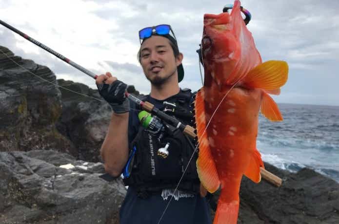 神津島で釣れたアカハタ