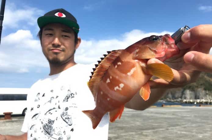神津島で釣れたアカハタ