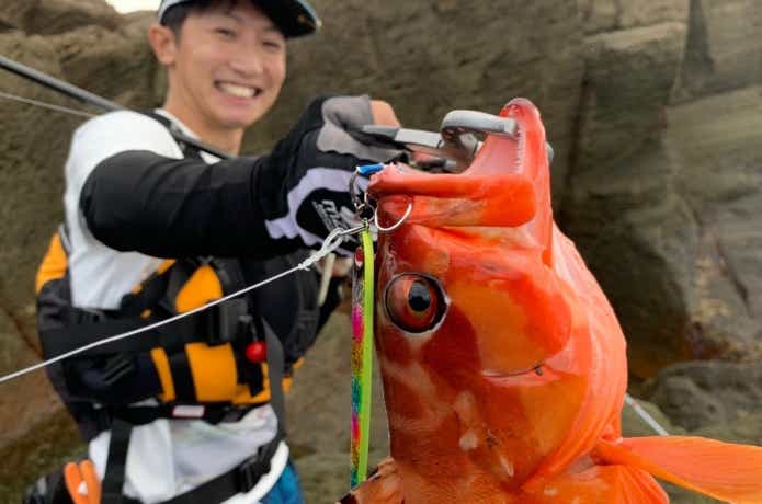 神津島で釣れたハタ
