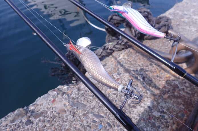 エギングのリーダーの画像