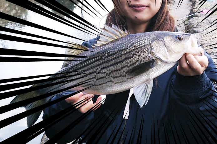 宮城アングラーズヴィレッジ】で“あの魚”が釣れる！？レア魚が釣れる管理釣り場に行ってきた | TSURI HACK[釣りハック]