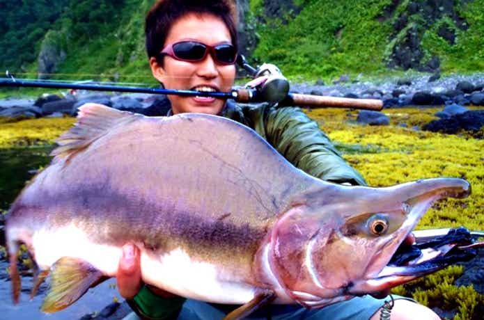 カラフトマスのセッパリ