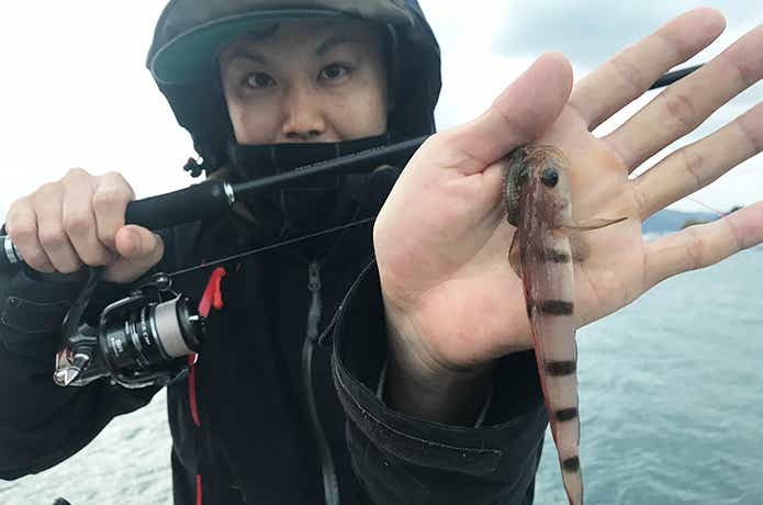ブッコミ釣りの画像