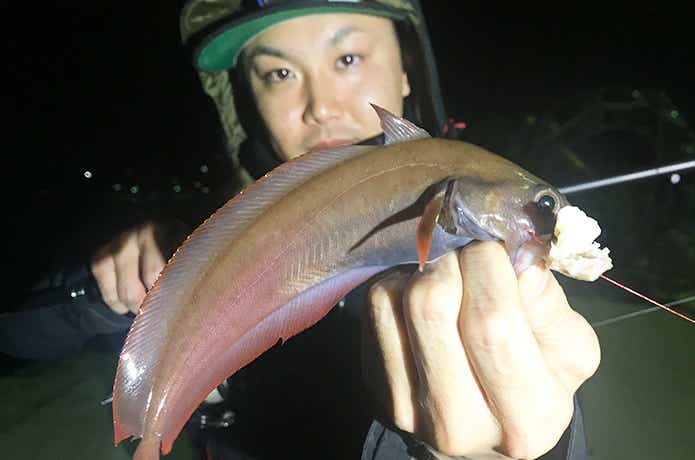 ブッコミ釣りの画像