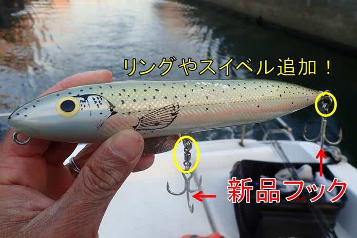 コノシロパターンの画像