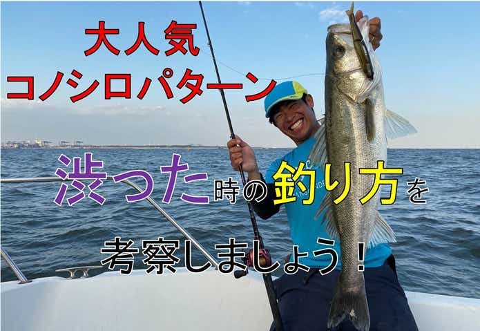 コノシロパターンの画像