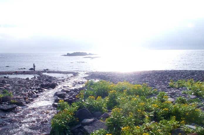 カラフトマス釣りの聖地 知床