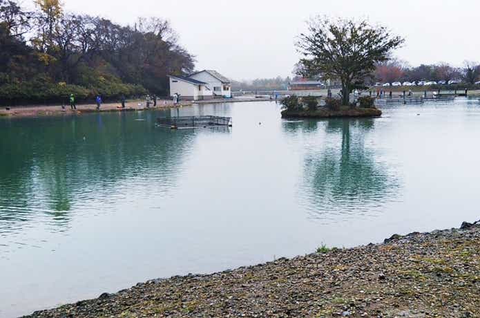 加賀フィッシングエリアの1号池