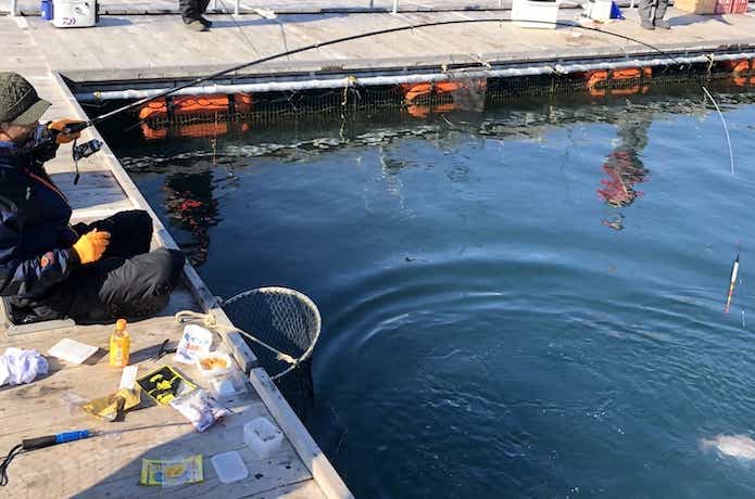 海上釣り堀の画像