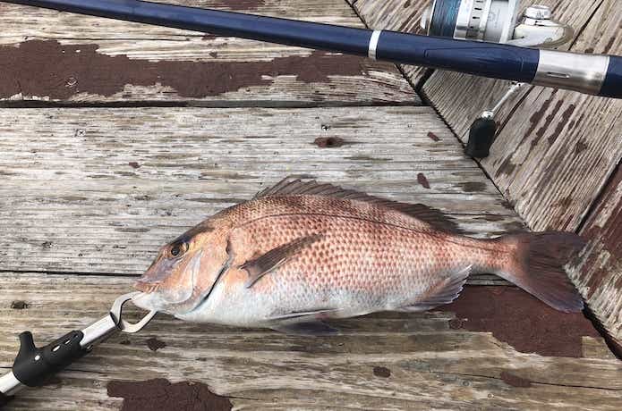 海上釣り堀の画像