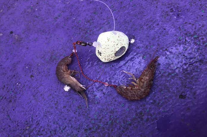 重めの一つテンヤ
