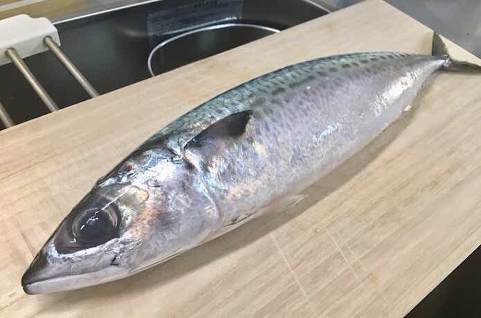 サバについて