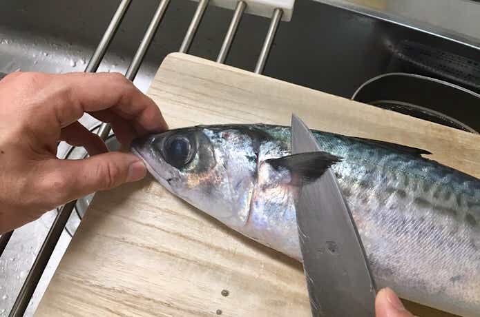 サバの胸ヒレの裏から斜めに包丁を入れる