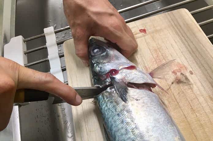 サバの頭を落とす
