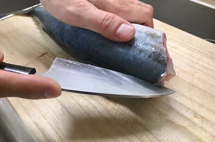 サバの中骨の上から捌いていく