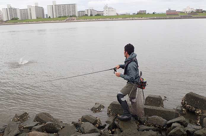 魚とのやりとり