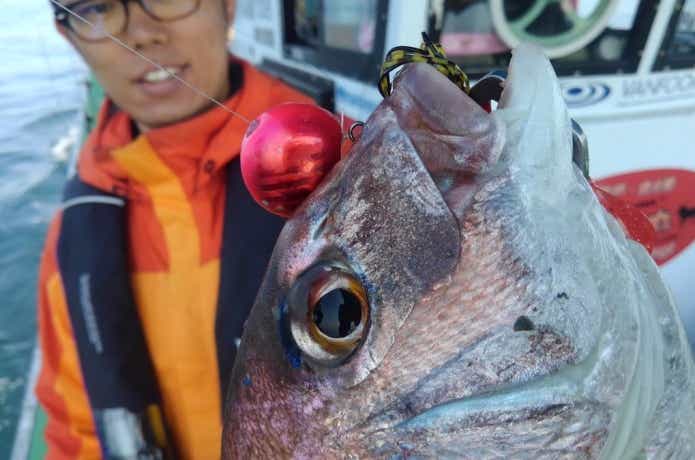 タイラバ　釣った鯛