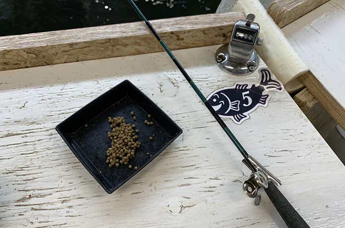 釣り掘りカフェ のレンタル釣具
