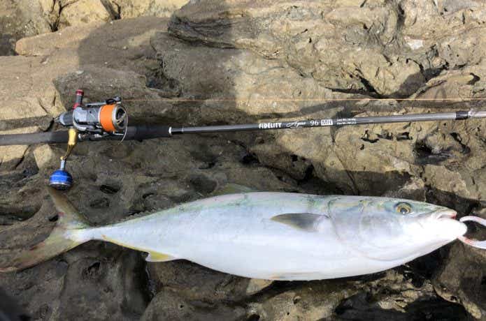 対馬の釣りの画像