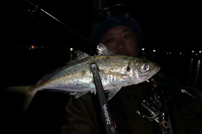 愛媛の釣りの画像