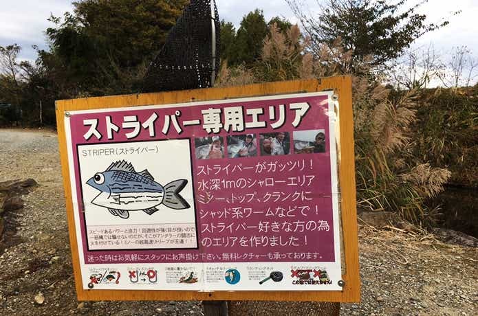 宮城アングラーズヴィレッジ】で“あの魚”が釣れる！？レア魚が釣れる管理釣り場に行ってきた | TSURI HACK[釣りハック]