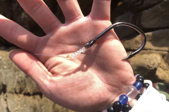 対馬の釣りの画像
