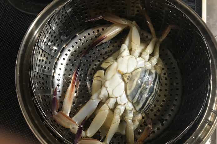 ワタリガニの画像
