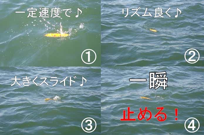 コノシロパターンの画像