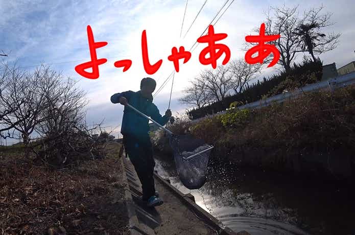 ティラピア　釣り