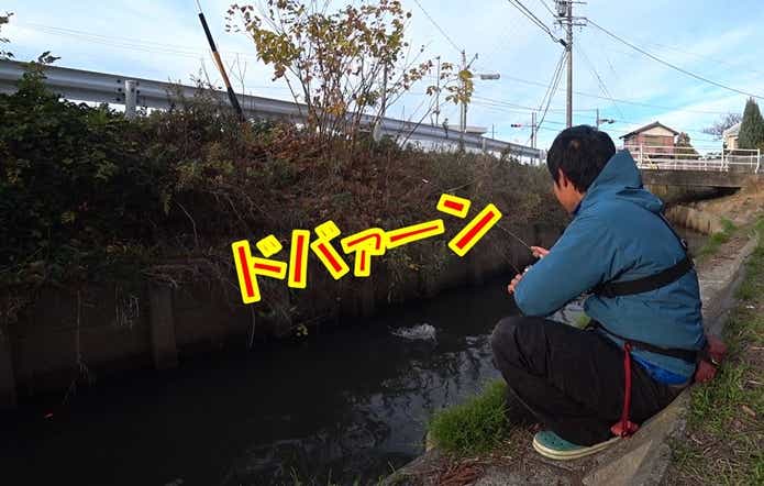ティラピア 釣り