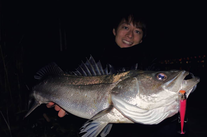 冬の東京湾シーバスのポイント（釣り方）