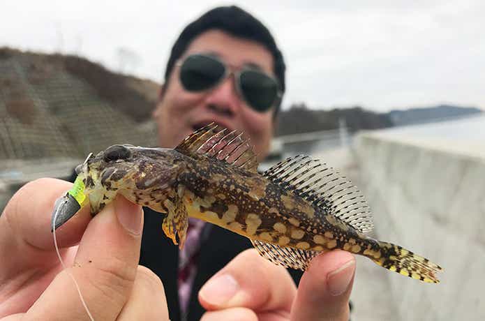 海釣り初心者におすすめの釣り方