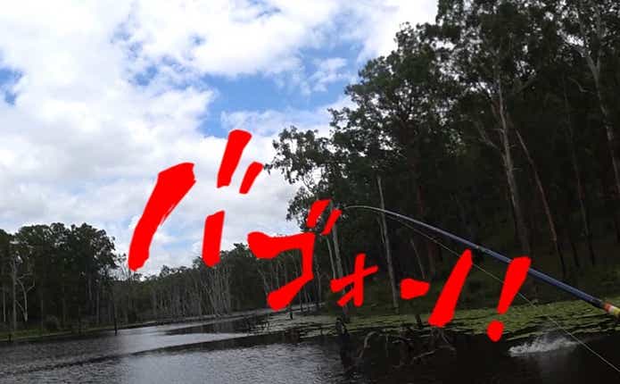 サザンサラトガ　釣り