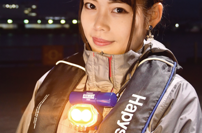 ハピソンのチェストライトの画像