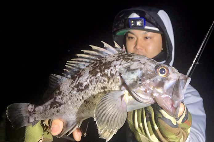 クロソイ