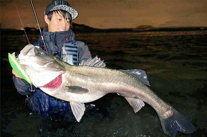 冬の東京湾シーバス