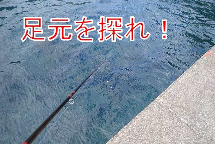 ウツボ 狙い方