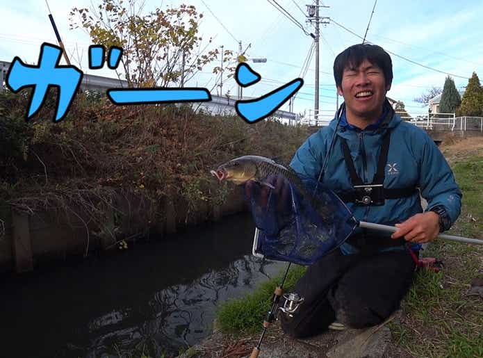 ティラピア 釣り