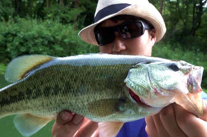 東条湖バス33cm