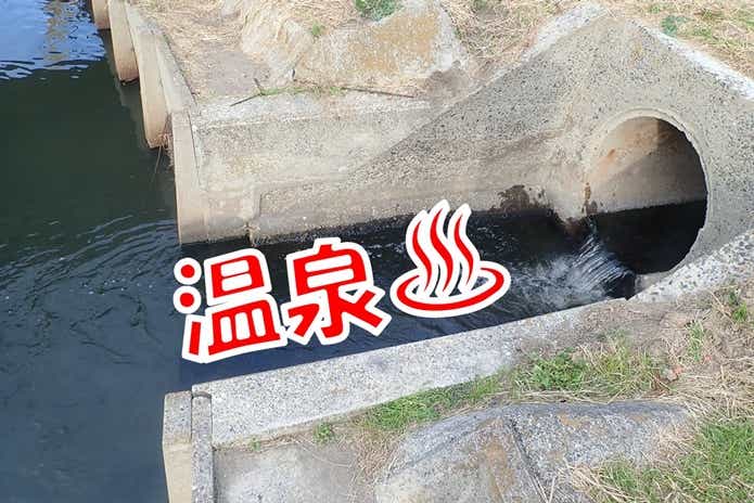 テイラピア 温排水