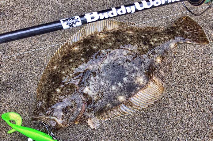 Surf aiming for flounder, Surf Live 1082ML thorough