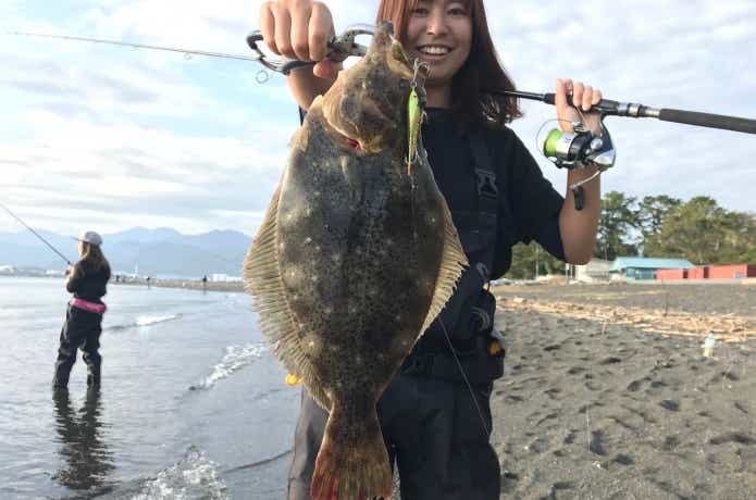 ヒラメの釣果