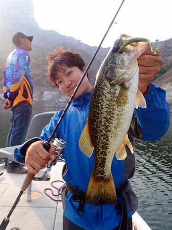 ワームの釣果