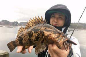 気仙沼大島の釣り