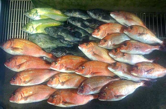 海上釣り堀の画像