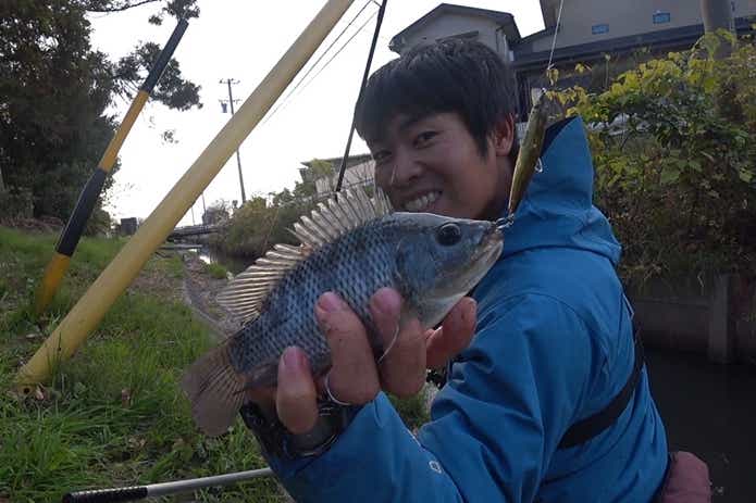 ティラピア 釣り