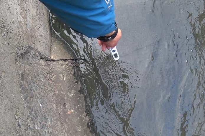 ティラピア 温排水